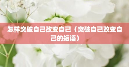 怎样突破自己改变自己（突破自己改变自己的短语）