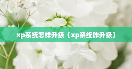 xp系统怎样升级（xp系统咋升级）