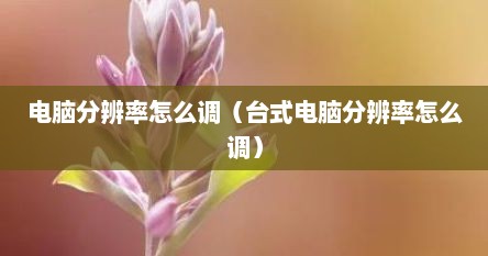 电脑分辨率怎么调（台式电脑分辨率怎么调）