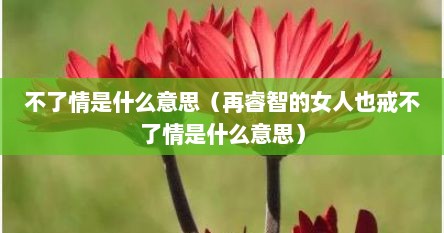 不了情是什么意思（再睿智的女人也戒不了情是什么意思）