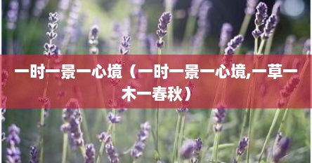 一时一景一心境（一时一景一心境,一草一木一春秋）