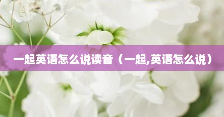 一起英语怎么说读音（一起,英语怎么说）