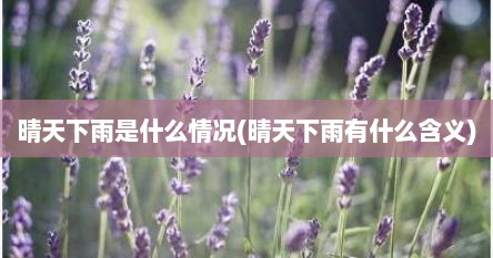 晴天下雨是什么情况(晴天下雨有什么含义)