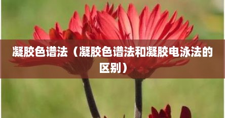 凝胶色谱法（凝胶色谱法和凝胶电泳法的区别）