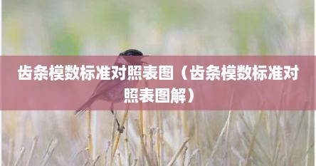 齿条模数标准对照表图（齿条模数标准对照表图解）