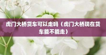 虎门大桥货车可以走吗（虎门大桥现在货车能不能走）