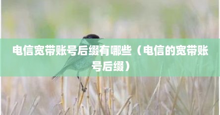 电信宽带账号后缀有哪些（电信的宽带账号后缀）