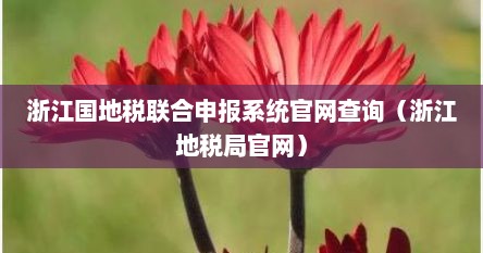 浙江国地税联合电子税务局网站（浙江地税网上办税服务厅）