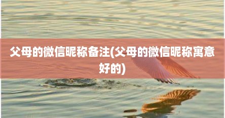 父母的微信昵称备注(父母的微信昵称寓意好的)