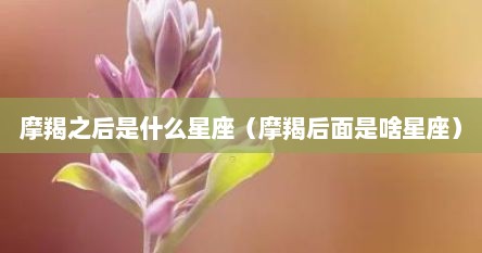 摩羯之后是什么星座（摩羯后面是啥星座）