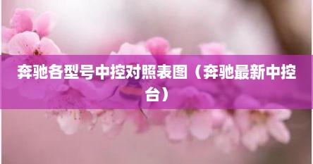 奔驰各型号中控对照表图（奔驰最新中控台）