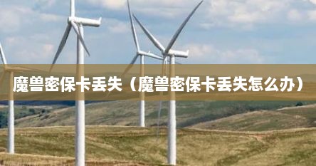 魔兽密保卡丢失（魔兽密保卡丢失怎么办）
