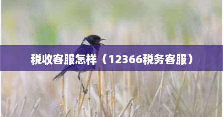 税收客服怎样（12366税务客服）