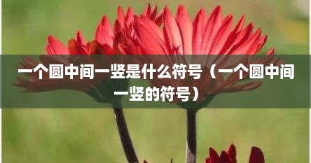 一个圆中间一竖是什么符号（一个圆中间一竖的符号）