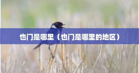 也门是哪里（也门是哪里的地区）