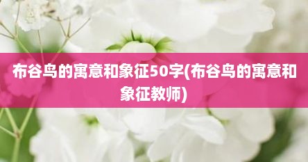 布谷鸟的寓意和象征50字(布谷鸟的寓意和象征教师)