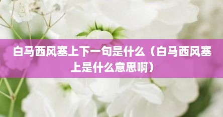 白马西风塞上下一句是什么（白马西风塞上是什么意思啊）