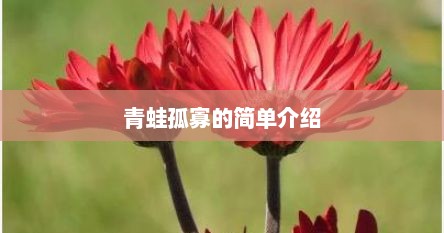 青蛙孤寡的简单介绍