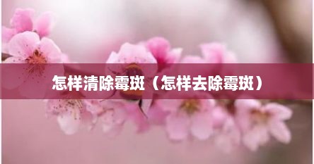 怎样清除霉斑（怎样去除霉斑）