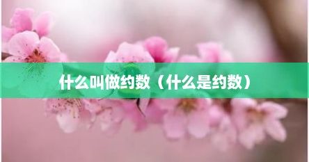 什么叫做约数（什么是约数）