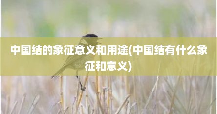 中国结的象征意义和用途(中国结有什么象征和意义)