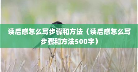 读后感怎么写步骤和方法（读后感怎么写步骤和方法500字）