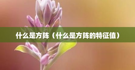 什么是方阵（什么是方阵的特征值）