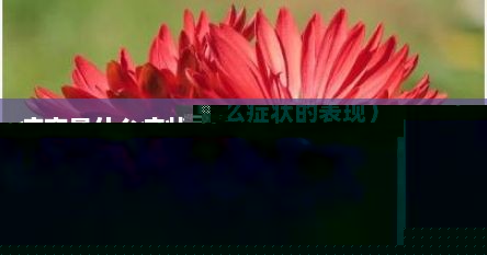 痉挛是什么症状（痉挛是什么症状的表现）