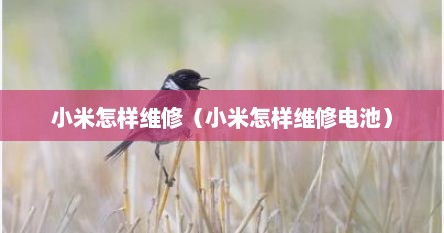 小米怎样维修（小米怎样维修电池）