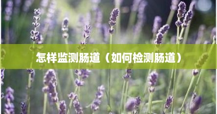 怎样监测肠道（如何检测肠道）