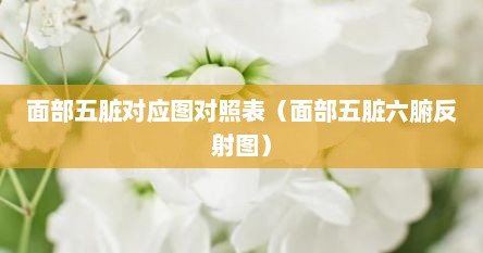 面部五脏对应图对照表（面部五脏六腑反射图）