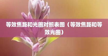 等效焦距和光圈对照表图（等效焦距和等效光圈）
