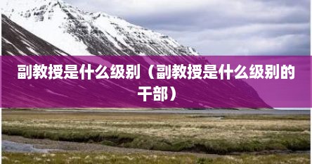 副教授是什么级别（副教授是什么级别的干部）