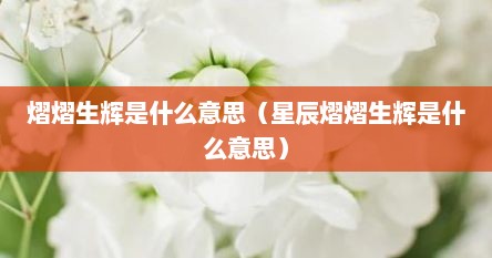 熠熠生辉是什么意思（星辰熠熠生辉是什么意思）