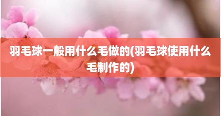 羽毛球一般用什么毛做的(羽毛球使用什么毛制作的)