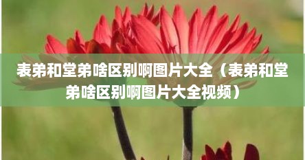表弟和堂弟啥区别啊图片大全（表弟和堂弟啥区别啊图片大全视频）