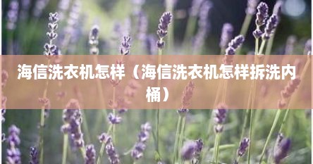 海信洗衣机怎样（海信洗衣机怎样拆洗内桶）