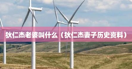狄仁杰老婆叫什么（狄仁杰妻子历史资料）