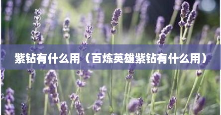 紫钻有什么用（百炼英雄紫钻有什么用）