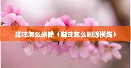 脚注怎么删除（脚注怎么删除横线）