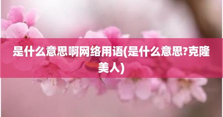 是什么意思啊网络用语(是什么意思?克隆美人)