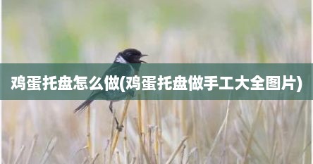 鸡蛋托盘怎么做(鸡蛋托盘做手工大全图片)