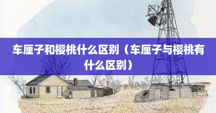 车厘子和樱桃什么区别（车厘子与樱桃有什么区别）