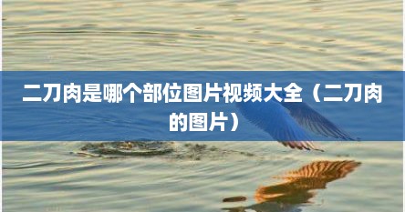 二刀肉是哪个部位图片视频大全（二刀肉的图片）