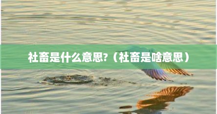 社畜是什么意思?（社畜是啥意思）