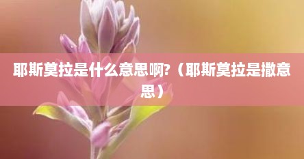 耶斯莫拉是什么意思啊?（耶斯莫拉是撒意思）
