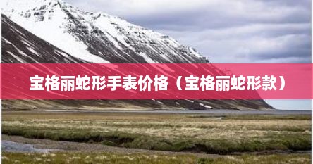 宝格丽蛇形手表价格（宝格丽蛇形款）