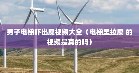 男子电梯吓出屎视频大全（电梯里拉屎 的视频是真的吗）