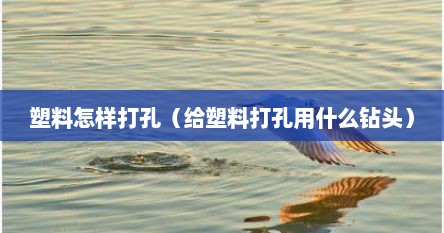塑料怎样打孔（给塑料打孔用什么钻头）
