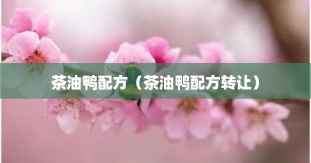 茶油鸭配方（茶油鸭配方转让）